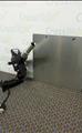 Lot: 13-7-2299: (1) Topcon CP-5D 