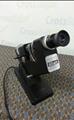 Lot: 13-7-3074: (1) Burton 2021 