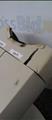 Lot: 14-7-6571: (1) Zeiss Humphrey REF710 (1) Trial Lens Glasses 