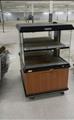 Lot: 14-3-6765: (1) Custom Deli Hot Case 