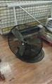 Lot: 14-3-7053: (1) 32 Inch Floor fan 