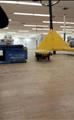 Lot: 14-3-7110: (1) 5500 pound Pallet jack 