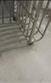 Lot: 14-3-7159: (3) Win - Holt Aluminum rocket carts 