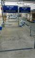 Lot: 14-2-7681: (16) Shopping cart storage Coral 