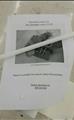 Lot: 14-2-8503: (1) Pineapple Corer 