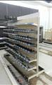 Lot: 13-2-197: (32) Linear Feet of Gondola Display Counter(s)