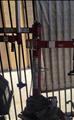 Lot: 15-3-5500: (1) Coats 5060AX Rim clamp tire changer (1) Coats 7060AX Rim clamp tire changer (1) Coats 950 Electric Wheel Balancer 