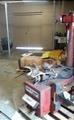 Lot: 15-3-5773: (1) John Bean 5.1 (1) Coats 5060AX Rim clamp tire changer 