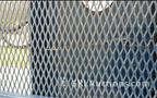 Lot: 15-3-5839: (1) Cram-A-Lot VB-72-B Vertical Cardboard Baler 