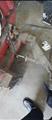 Lot: 15-3-6101: (1) Corghi A9824 TI Rim Clamp Tire Changer (1) Corghi A9824 TI Rim Clamp Tire Changer (1) Corghi EM 8540 Computerized wheel balancer 