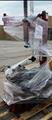 Lot: 15-3-6073: (1) Coats 7060AX Rim clamp tire changer (1) Coats 7060AX Rim clamp tire changer 