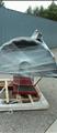 Lot: 15-3-7635: (1) Corghi EM 8540 Computerized wheel balancer (1) Coats 1250 Wheel Balancer 