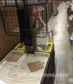 Lot: 15-3-6390: (1) Crown WAV50-84 Electric Personal Manlift (1) Crown WAV50-84 Electric Personal Manlift 