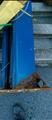 Lot: 15-3-9130: (1) Challenger CL-9 Two Post Automotive Lift (1) Challenger 67000 Low Rise Auto Lift 