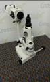 Lot: 13-7-1498: (1) Reichert XCEL 255 